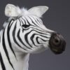 Ung Zebra - Image 13