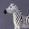 Ung Zebra - Image 10