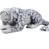 Snow Leopard lying 110cm + tail