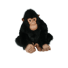 Female chimpanzee 57 cm