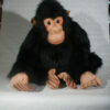 Female chimpanzee 57 cm - Image 2