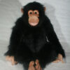 Female chimpanzee 57 cm - Image 3