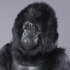 Gorilla - Adult Silverback ca 70cm - Image 2