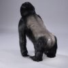 Gorilla - Adult Silverback ca 70cm - Image 5