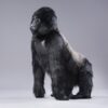 Gorilla - Adult Silverback ca 70cm - Image 3
