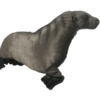 Seal 50cm