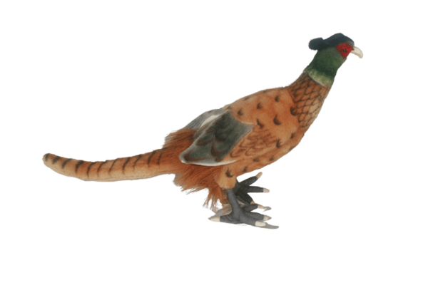 Fasan 31cm