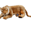 Lioness 97 cm