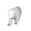 Polarbjørn stående på 4 ben 47 cm - Image 2