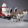 Polar bear on a sled with 3 husky dogs