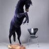 Stallion stallion 220 cm - Image 6