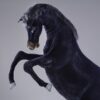 Stallion stallion 220 cm - Image 5