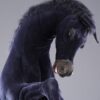 Stallion stallion 220 cm - Image 3