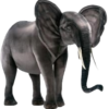 Elefant - gående 1,15 meter høj