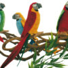 Parrot - Multiple colors