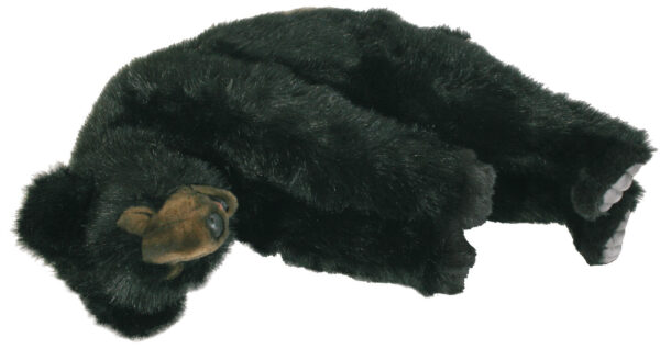 Black bear - cub - sleeping approx. 50cm