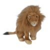 Lion-Hansa-Ani-Event
