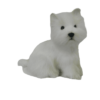 Dog West Highland Terrier (S)