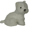 Dog West Highland Terrier (S)