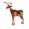 Impala hjort - lifesize - Image 2