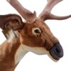 Impala hjort - lifesize - Image 3