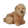 Norfolk Terrier Plush Puppy - Teddy Bear Soft Toy - Image 4