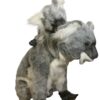 Koala bjørn - hun