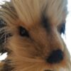 Waldi hund Hansatoy